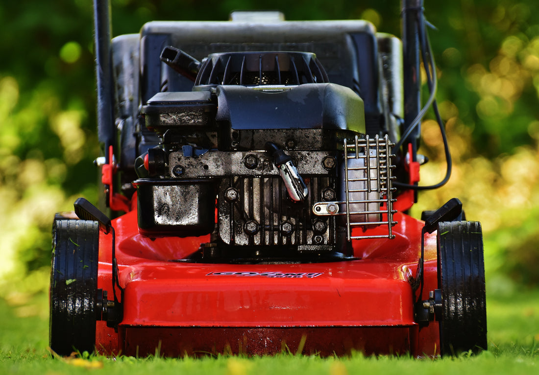 The Toro Lawn Mower: Why It's the Best of the Best